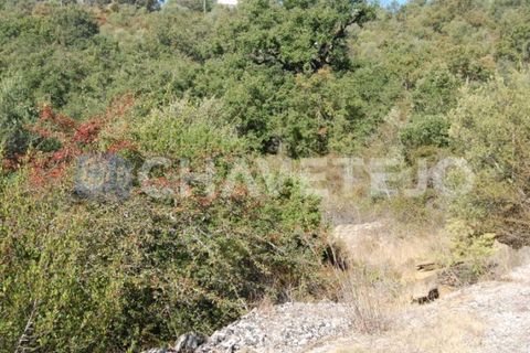 Helårsgrund i Tomar, Santarem, Tomar - € 25.000 | Ref: 618/18 - foto 2