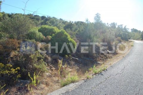 Helårsgrund i Tomar, Santarem, Tomar - € 25.000 | Ref: 618/18 - foto 3
