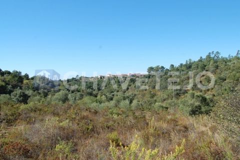 Helårsgrund i Tomar, Santarem, Tomar - € 25.000 | Ref: 618/18 - foto 4