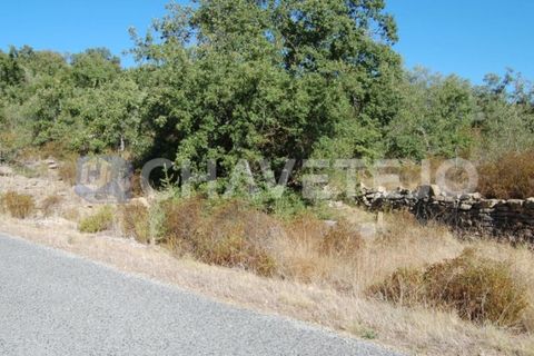 Helårsgrund i Tomar, Santarem, Tomar - € 25.000 | Ref: 618/18 - foto 5