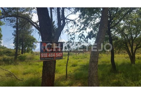 Helårsgrund i Tomar, Santarem, Tomar - € 10.000 | Ref: 611/18 - foto 1