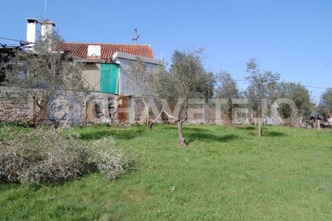 Terra a Tomar, Santarem, Tomar - € 35.000 | Ref: 603/17 - foto 2