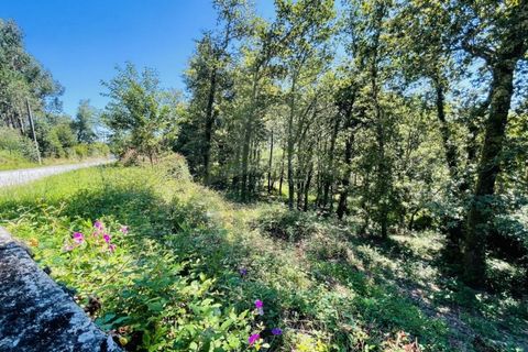 Tomt i Venade e Azevedo, Viana do Castelo, Venade e Azevedo - € 36 000 | Ref: B2964 - foto 2