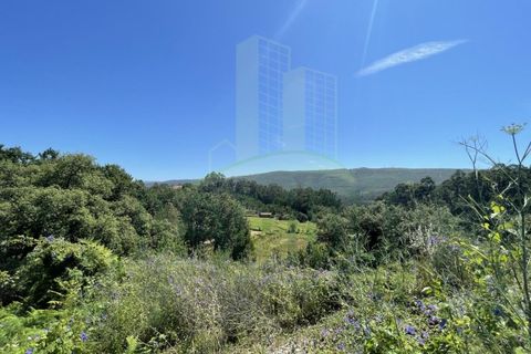 Tomt i Venade e Azevedo, Viana do Castelo, Venade e Azevedo - € 36 000 | Ref: B2964 - foto 3