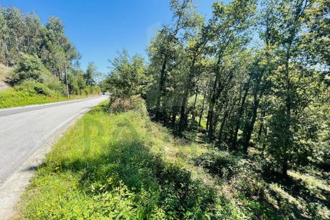 Tomt i Venade e Azevedo, Viana do Castelo, Venade e Azevedo - € 36 000 | Ref: B2964 - foto 6