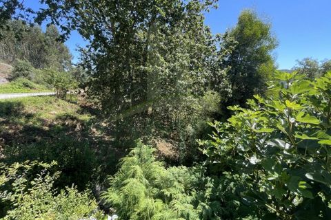 Tomt i Venade e Azevedo, Viana do Castelo, Venade e Azevedo - € 36 000 | Ref: B2964 - foto 8