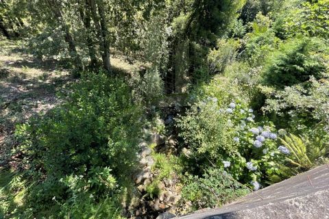 Tomt i Venade e Azevedo, Viana do Castelo, Venade e Azevedo - € 36 000 | Ref: B2964 - foto 11