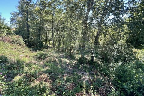 Tomt i Venade e Azevedo, Viana do Castelo, Venade e Azevedo - € 36 000 | Ref: B2964 - foto 12