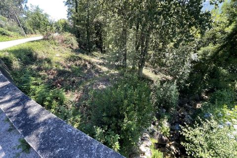 Tomt i Venade e Azevedo, Viana do Castelo, Venade e Azevedo - € 36 000 | Ref: B2964 - foto 13