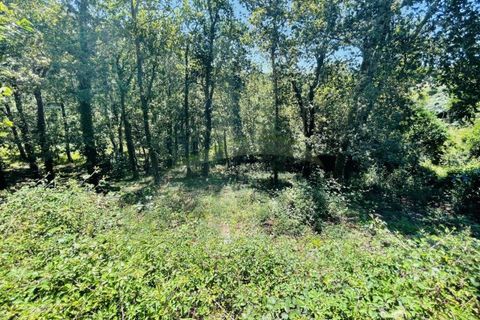 Tomt i Venade e Azevedo, Viana do Castelo, Venade e Azevedo - € 36 000 | Ref: B2964 - foto 16