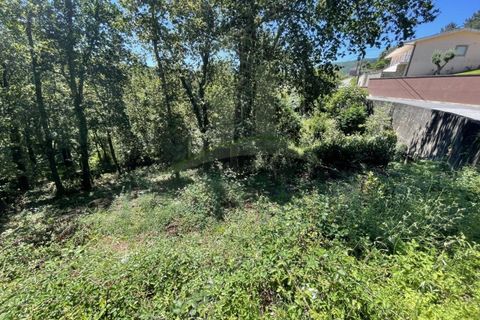 Tomt i Venade e Azevedo, Viana do Castelo, Venade e Azevedo - € 36 000 | Ref: B2964 - foto 17