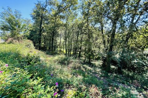 Tomt i Venade e Azevedo, Viana do Castelo, Venade e Azevedo - € 36 000 | Ref: B2964 - foto 18