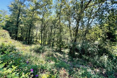 Tomt i Venade e Azevedo, Viana do Castelo, Venade e Azevedo - € 36 000 | Ref: B2964 - foto 19