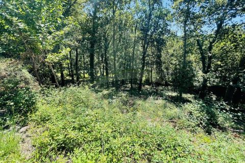 Tomt i Venade e Azevedo, Viana do Castelo, Venade e Azevedo - € 36 000 | Ref: B2964 - foto 20