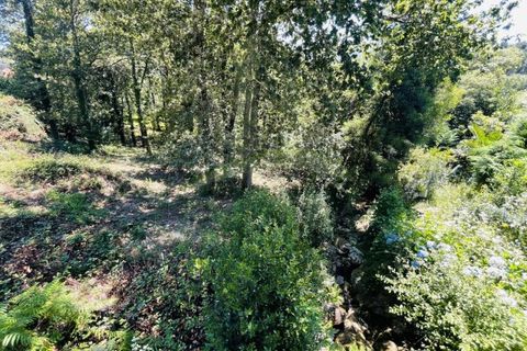 Tomt i Venade e Azevedo, Viana do Castelo, Venade e Azevedo - € 36 000 | Ref: B2964 - foto 22