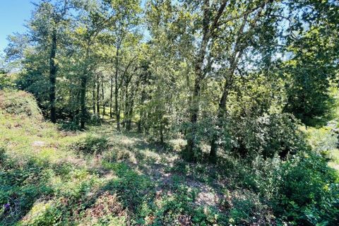 Tomt i Venade e Azevedo, Viana do Castelo, Venade e Azevedo - € 36 000 | Ref: B2964 - foto 23