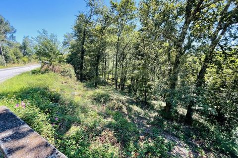 Tomt i Venade e Azevedo, Viana do Castelo, Venade e Azevedo - € 36 000 | Ref: B2964 - foto 24