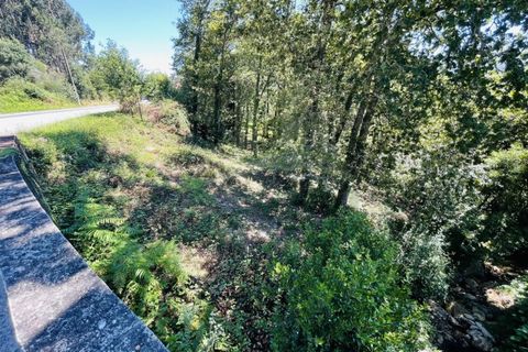 Tomt i Venade e Azevedo, Viana do Castelo, Venade e Azevedo - € 36 000 | Ref: B2964 - foto 25