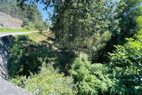 Tomt i Venade e Azevedo, Viana do Castelo, Venade e Azevedo - € 36 000 | Ref: B2964 - foto 26