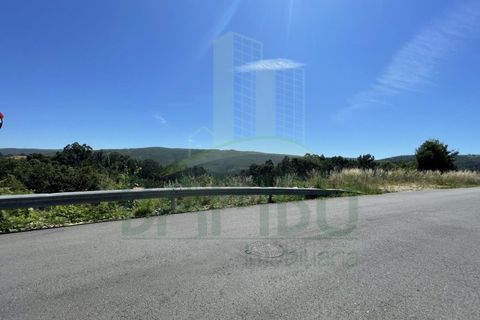 Tomt i Venade e Azevedo, Viana do Castelo, Venade e Azevedo - € 36 000 | Ref: B2964 - foto 27