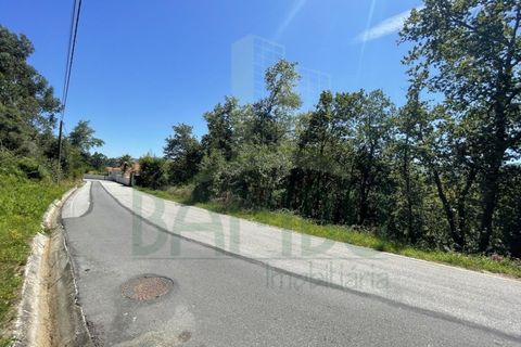 Tomt i Venade e Azevedo, Viana do Castelo, Venade e Azevedo - € 36 000 | Ref: B2964 - foto 28