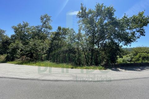 Tomt i Venade e Azevedo, Viana do Castelo, Venade e Azevedo - € 36 000 | Ref: B2964 - foto 29