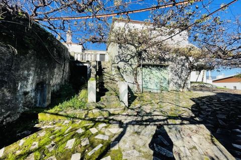 Villa a Caminha, Viana do Castelo, Caminha - € 430.000 | Ref: B3116 - foto 28