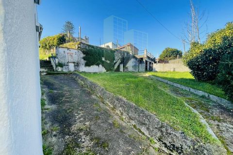 Villa a Caminha, Viana do Castelo, Caminha - € 430.000 | Ref: B3116 - foto 31