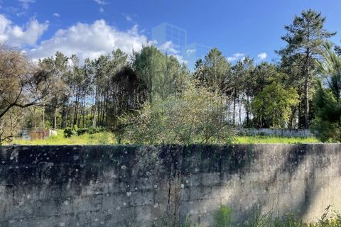Helårsgrund i Valenca, Viana do Castelo, Valenca - € 38.000 | Ref: B2939 - foto 7