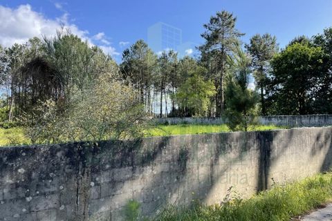 Helårsgrund i Valenca, Viana do Castelo, Valenca - € 38.000 | Ref: B2939 - foto 8