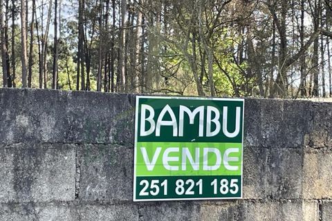 Helårsgrund i Valenca, Viana do Castelo, Valenca - € 38.000 | Ref: B2939 - foto 11