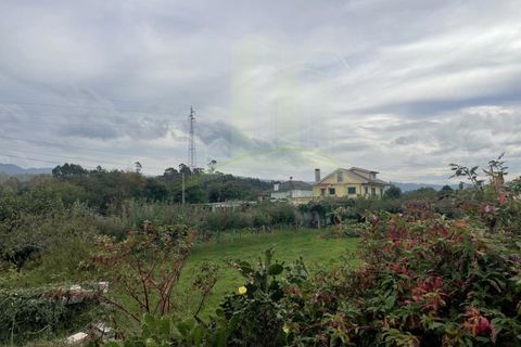 Terra a Gandra e Taiao, Viana do Castelo, Gandra e Taiao - € 400/mes | Ref: B3111 - foto 5
