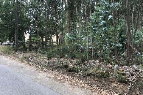 Helårsgrund i Valenca, Viana do Castelo, Valenca - € 29.000 | Ref: B2432 - foto 3
