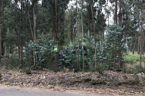 Helårsgrund i Valenca, Viana do Castelo, Valenca - € 29.000 | Ref: B2432 - foto 4
