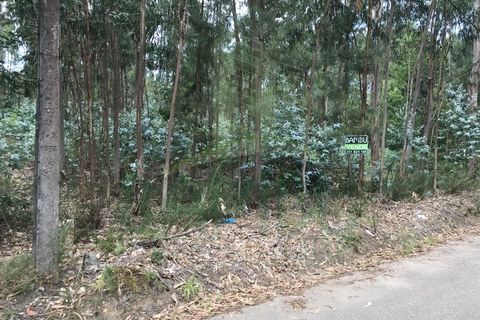 Helårsgrund i Valenca, Viana do Castelo, Valenca - € 29.000 | Ref: B2432 - foto 5