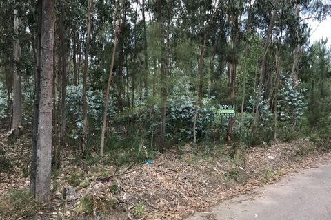 Helårsgrund i Valenca, Viana do Castelo, Valenca - € 29.000 | Ref: B2432 - foto 6
