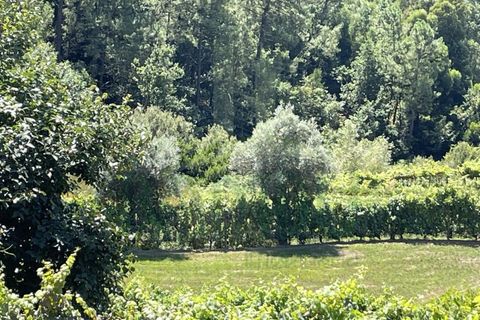 Villa i Ganfei, Viana do Castelo, Ganfei - € 490.000 | Ref: B2724 - foto 33