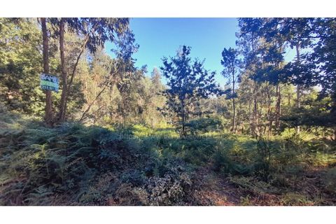 Terra a Gandra e Taiao, Viana do Castelo, Gandra e Taiao - € 25.000 | Ref: B2822 - foto 5