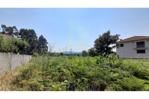 Helårsgrund i Gandra e Taiao, Viana do Castelo, Gandra e Taiao - € 45.000 | Ref: B2838 - foto 3
