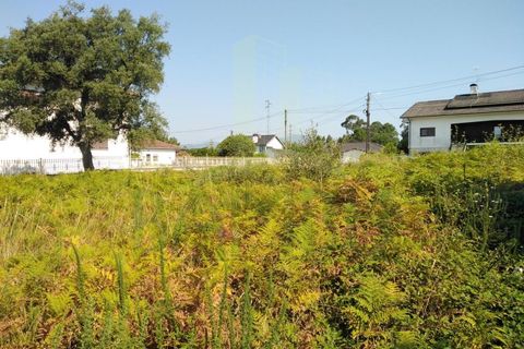 Helårsgrund i Gandra e Taiao, Viana do Castelo, Gandra e Taiao - € 45.000 | Ref: B2838 - foto 7