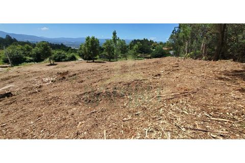 Helårsgrund i Gandra e Taiao, Viana do Castelo, Gandra e Taiao - € 44.000 | Ref: B2954 - foto 3