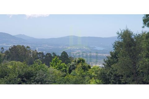 Helårsgrund i Gandra e Taiao, Viana do Castelo, Gandra e Taiao - € 44.000 | Ref: B2954 - foto 5