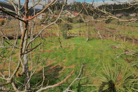 Villa i Viana do Castelo, Viana do Castelo, Viana do Castelo - € 325.000 | Ref: B2661 - foto 28