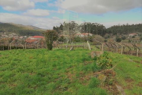 Villa i Viana do Castelo, Viana do Castelo, Viana do Castelo - € 325.000 | Ref: B2661 - foto 31