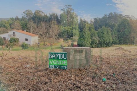 Grond in Venade e Azevedo, Viana do Castelo, Venade e Azevedo - € 34.000 | Ref: B2904 - foto 2