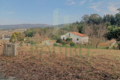 Grond in Venade e Azevedo, Viana do Castelo, Venade e Azevedo - € 34.000 | Ref: B2904 - foto 3