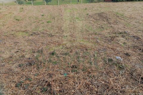 Grond in Venade e Azevedo, Viana do Castelo, Venade e Azevedo - € 34.000 | Ref: B2904 - foto 4