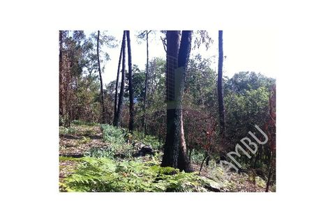 Helårsgrund i Venade e Azevedo, Viana do Castelo, Venade e Azevedo - € 50.000 | Ref: B1019 - foto 2