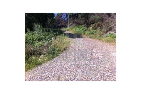 Helårsgrund i Venade e Azevedo, Viana do Castelo, Venade e Azevedo - € 50.000 | Ref: B1019 - foto 3