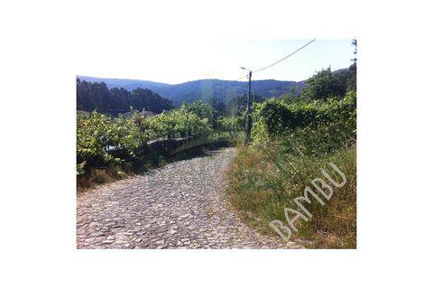 Helårsgrund i Venade e Azevedo, Viana do Castelo, Venade e Azevedo - € 50.000 | Ref: B1019 - foto 4